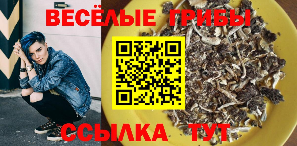 Галлюциногенные грибы Magic Shrooms  Вход с VPN  Самара 